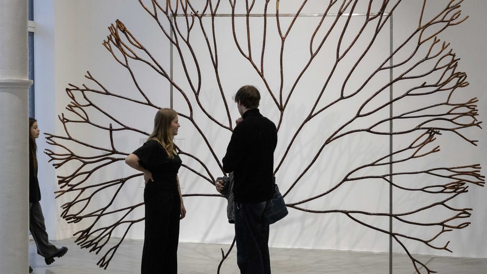 Die Ausstellung „Půda a přátelé“  (Der Boden und seine Freunde) | Foto: Dominika Goralska,  PLATO
