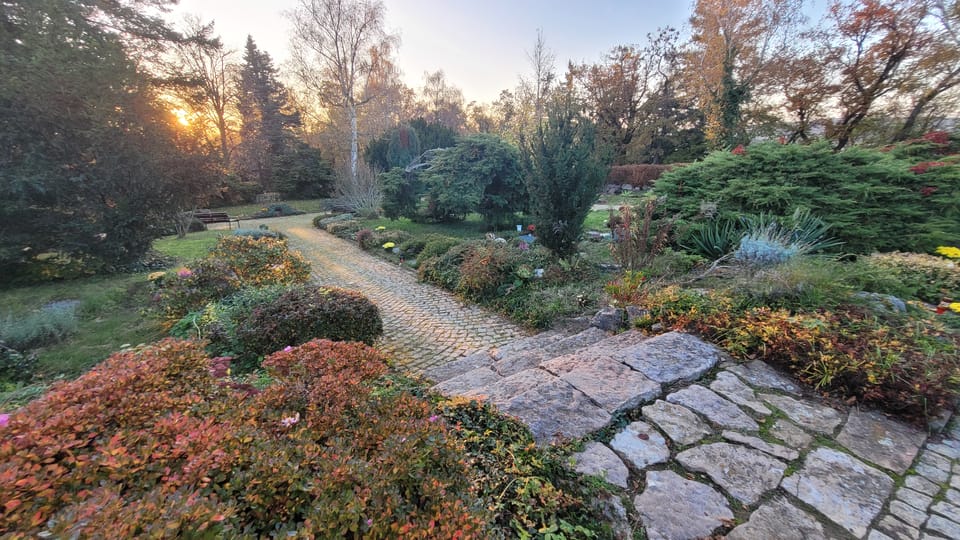 Friedhof an der Stadtgrenze von Prag in Zbraslav | Foto: Hana Slavická,  Radio Prague International