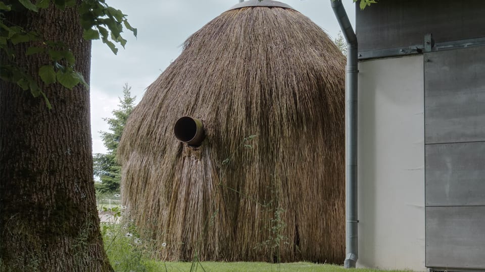 a1architects,  Sauna Kupka in Alenina Lhota,  2019–2020 | Foto: a1architects / Nationalgalerie Prag