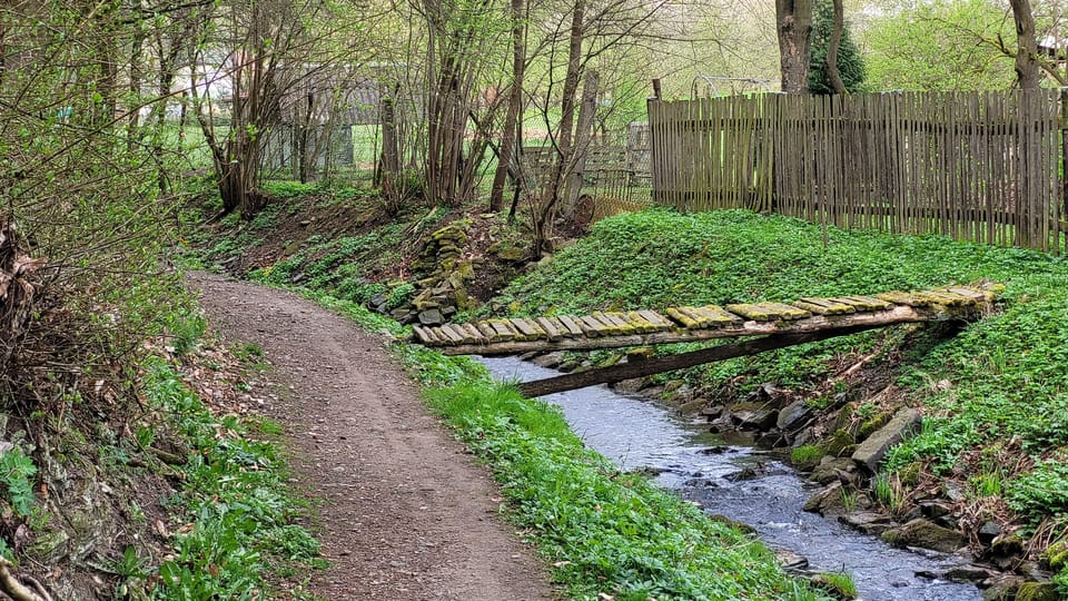 Der Weg zum Oppidum führt entlang des Baches Habrový potok | Foto: Hana Slavická,  Radio Prague International