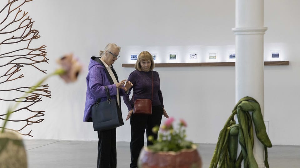 Die Ausstellung „Půda a přátelé“  (Der Boden und seine Freunde) | Foto: Dominika Goralska,  PLATO