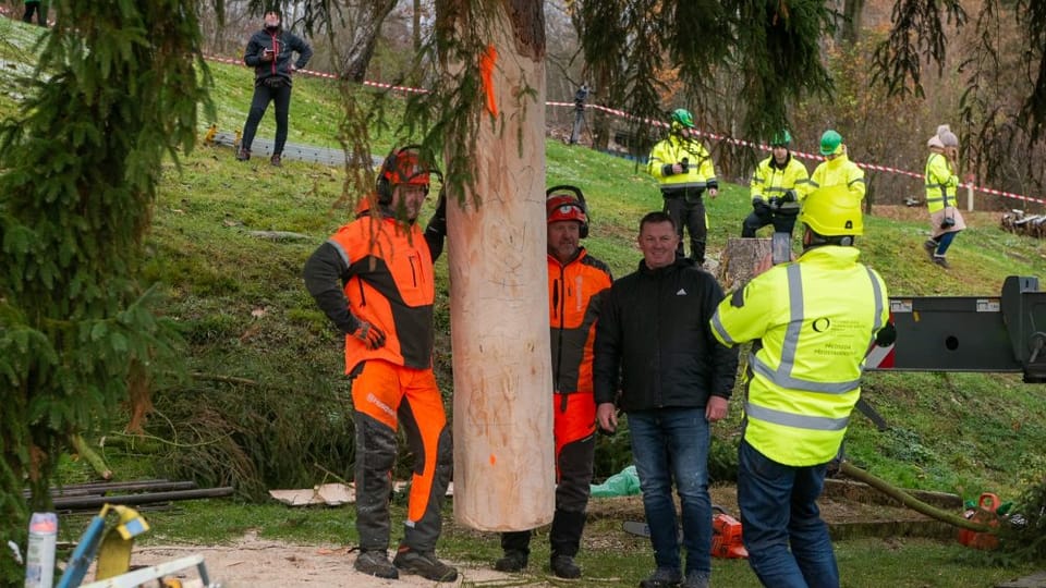 Foto: Zuzana Jarolímková, iROZHLAS.cz Foto: Zuzana Jarolímková, iROZHLAS.cz
