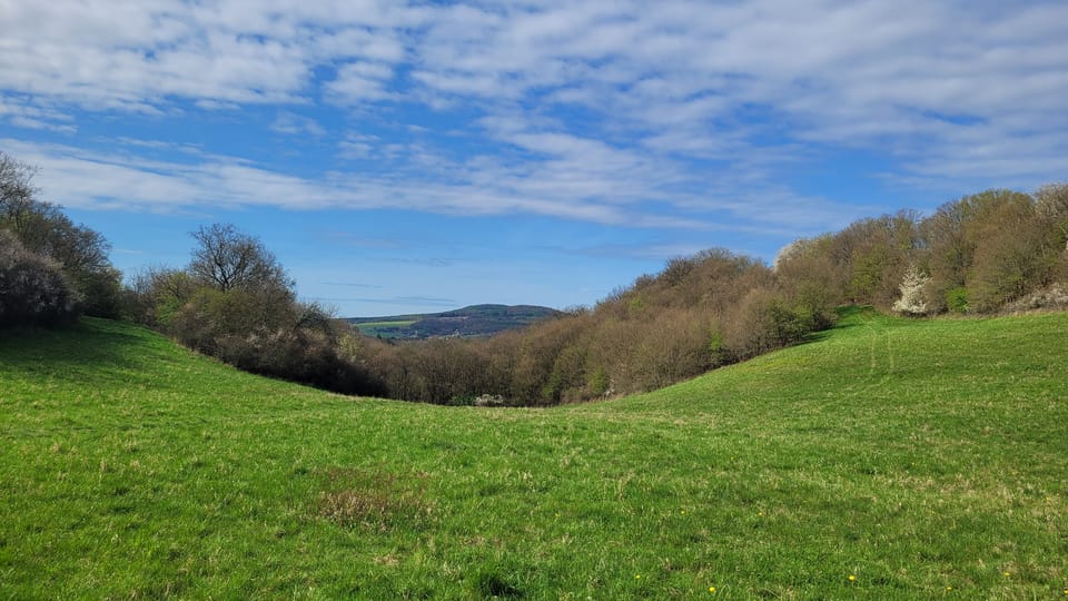 Es befand sich auf dem Plateau des Hradiště-Hügels in 380 m Höhe und nahm eine Fläche von 90, 3 ha ein. | Foto: Hana Slavická,  Radio Prague International