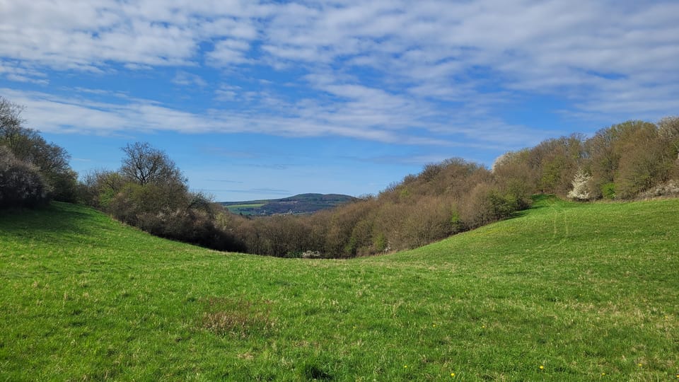 Es befand sich auf dem Plateau des Hradiště-Hügels in 380 m Höhe und nahm eine Fläche von 90, 3 ha ein. | Foto: Hana Slavická, Radio Prague International Es befand sich auf dem Plateau des Hradiště-Hügels in 380 m Höhe und nahm eine Fläche von 90, 3 ha ein. | Foto: Hana Slavická, Radio Prague International