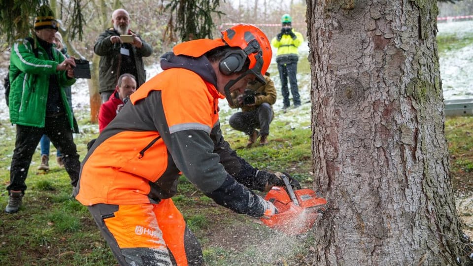 Foto: Zuzana Jarolímková, iROZHLAS.cz Foto: Zuzana Jarolímková, iROZHLAS.cz