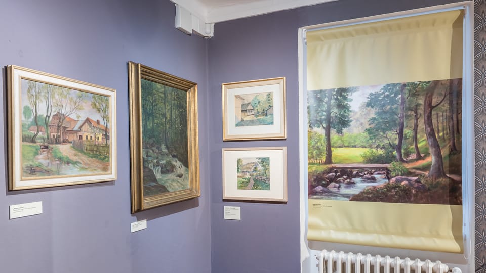Ausstellung „Vášně Antonína Píče“ | Foto: Tomáš Čermák,  Regionalmuseum in Litomyšl