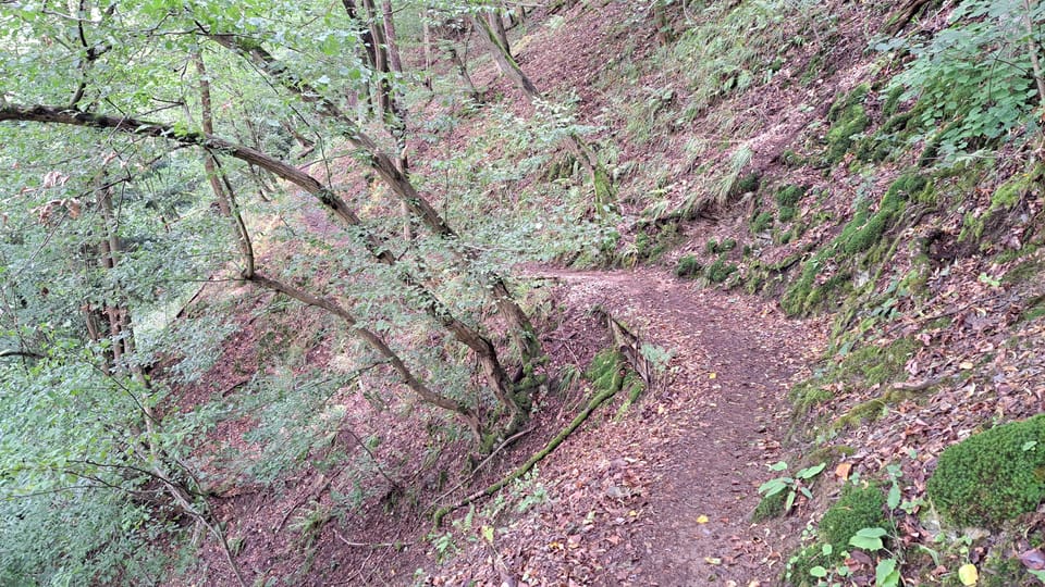 Der Weg von Skryje aus führt durch das Naturschutzgebiet entlang des Hügels oberhalb von Berounka. | Foto: Hana Slavická,  Radio Prague International