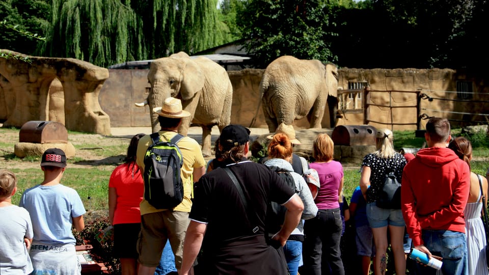 Zoo in Dvůr Králové | Foto: Barbora Němcová, Radio Prague International Zoo in Dvůr Králové | Foto: Barbora Němcová, Radio Prague International