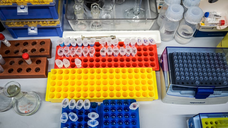 Foto: Tomáš Belloň, Institut für Organische Chemie und Biochemie der Tschechischen Akademie der Wissenschaften Foto: Tomáš Belloň, Institut für Organische Chemie und Biochemie der Tschechischen Akademie der Wissenschaften