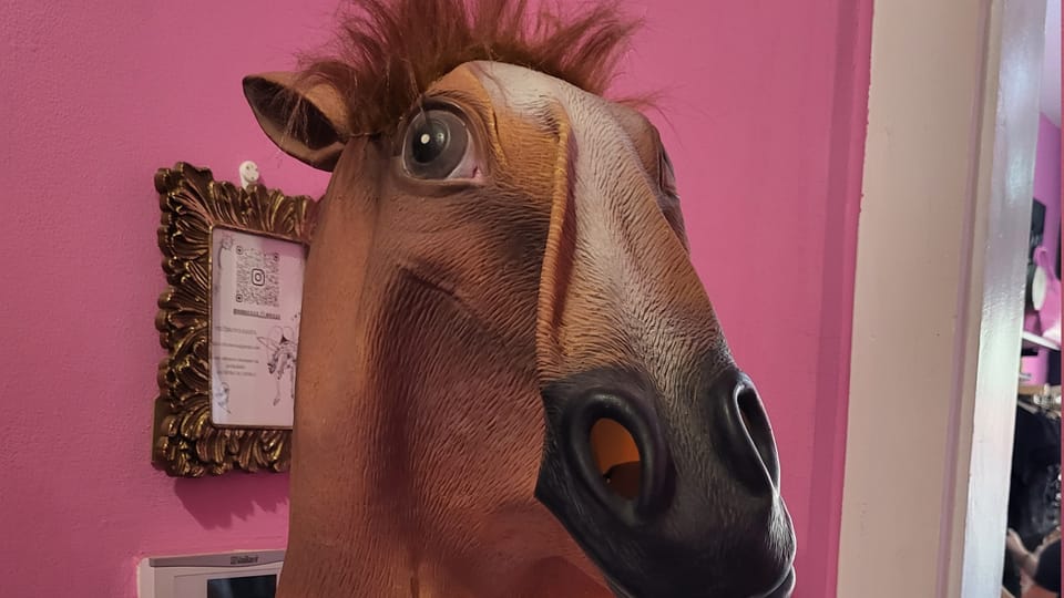 Schrecken Sie nicht vor den Schaufensterpuppen zurück, Die beißen nicht | Foto: Emely Sander, Radio Prague International Schrecken Sie nicht vor den Schaufensterpuppen zurück, Die beißen nicht | Foto: Emely Sander, Radio Prague International
