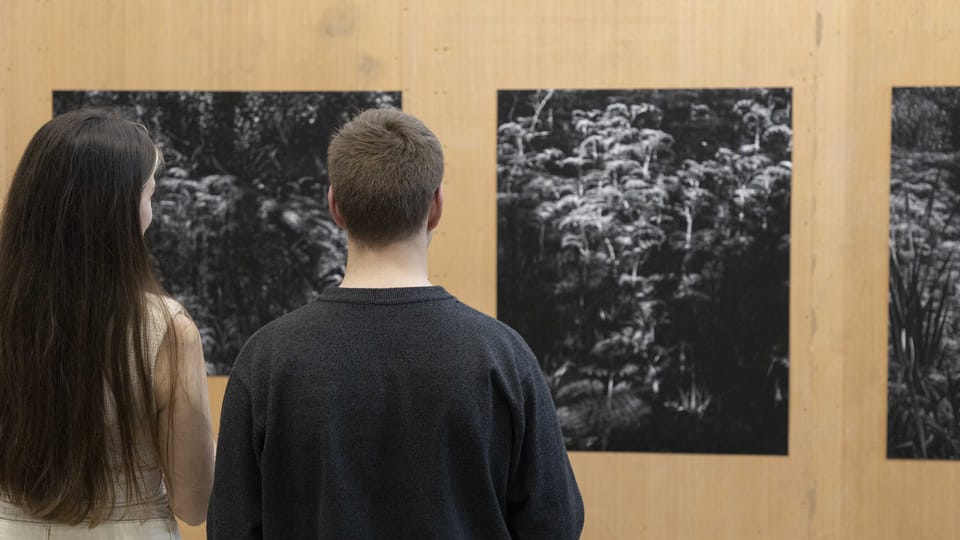 Die Ausstellung „Půda a přátelé“  (Der Boden und seine Freunde) | Foto: Dominika Goralska,  PLATO
