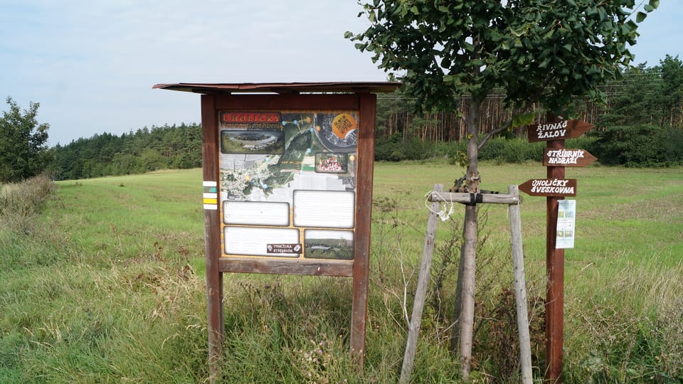 Station des Lehrpfades zwischen den Anhöhen Stříbrník und Řivnáč | Foto: Miloš Turek, Radio Prague International Station des Lehrpfades zwischen den Anhöhen Stříbrník und Řivnáč | Foto: Miloš Turek, Radio Prague International