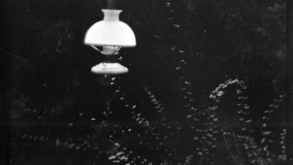 Josef Sudek, „Lampa“ (Lampe) aus der Serie Rothmayers Garten, 1954–1959 | Foto: PPF Art Collection Josef Sudek, „Lampa“ (Lampe) aus der Serie Rothmayers Garten, 1954–1959 | Foto: PPF Art Collection