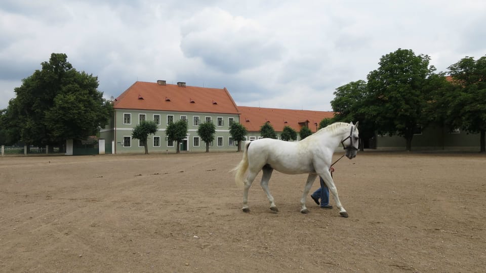 Innenhof des Nationalgestüts Kladruby nad Labem | Foto: Tereza Brázdová, Tschechischer Rundfunk Innenhof des Nationalgestüts Kladruby nad Labem | Foto: Tereza Brázdová, Tschechischer Rundfunk