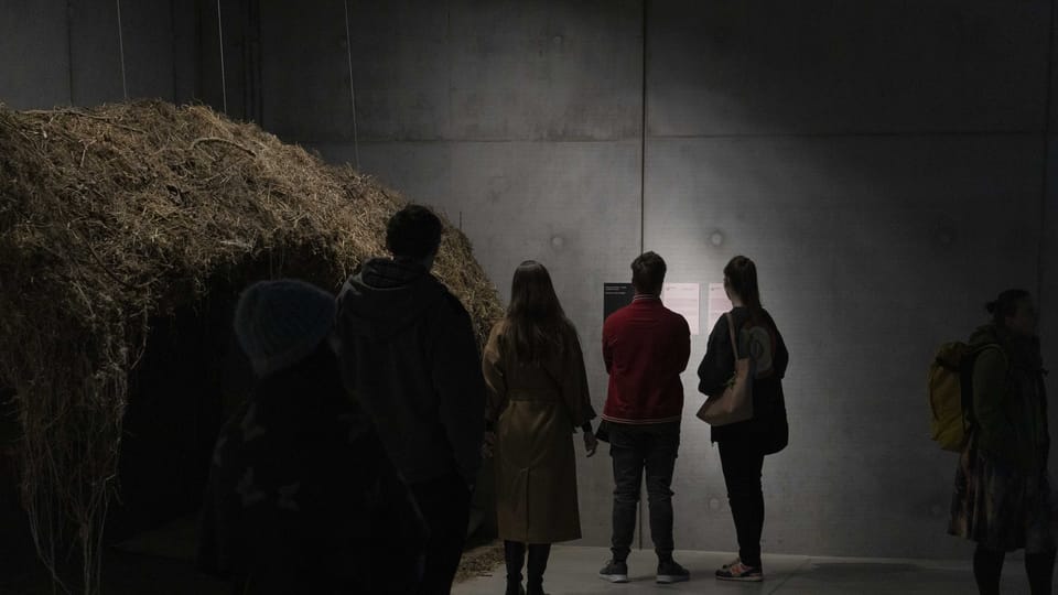 Die Ausstellung „Půda a přátelé“ (Der Boden und seine Freunde) | Foto: Dominika Goralska, PLATO Die Ausstellung „Půda a přátelé“ (Der Boden und seine Freunde) | Foto: Dominika Goralska, PLATO