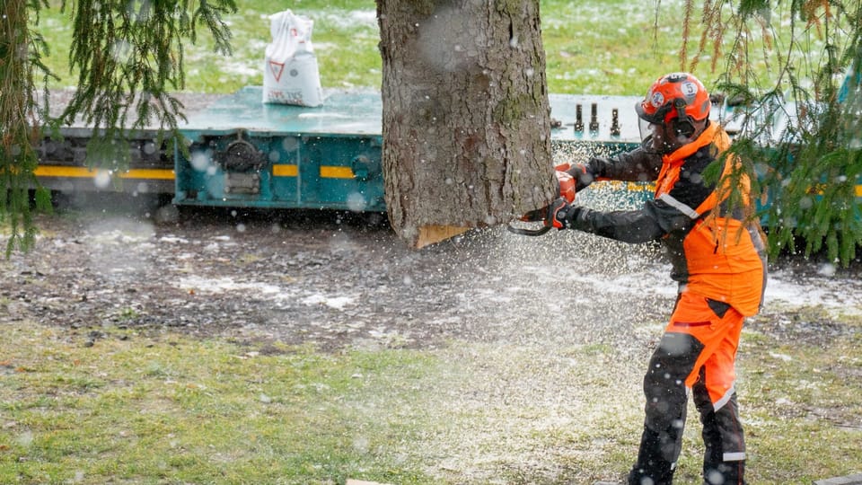 Foto: Zuzana Jarolímková, iROZHLAS.cz Foto: Zuzana Jarolímková, iROZHLAS.cz