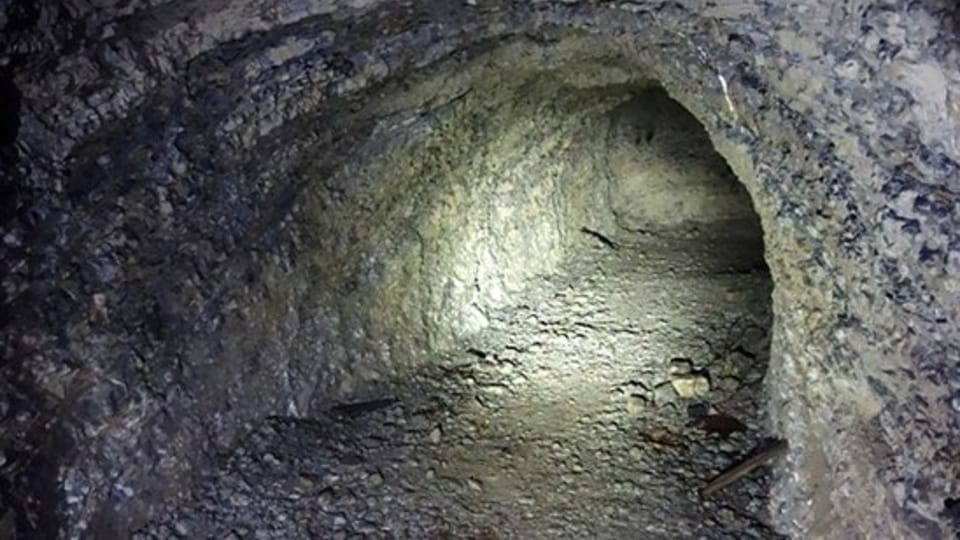 Foto: Archiv des Tschechischen Naturschutzverbandes Foto: Archiv des Tschechischen Naturschutzverbandes