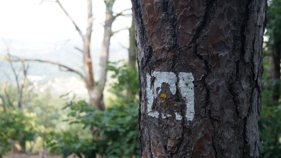Früher führte ein gelb markierter Wanderweg zum Aussichtspunkt Máj. | Foto: Miloš Turek, Radio Prague International Früher führte ein gelb markierter Wanderweg zum Aussichtspunkt Máj. | Foto: Miloš Turek, Radio Prague International