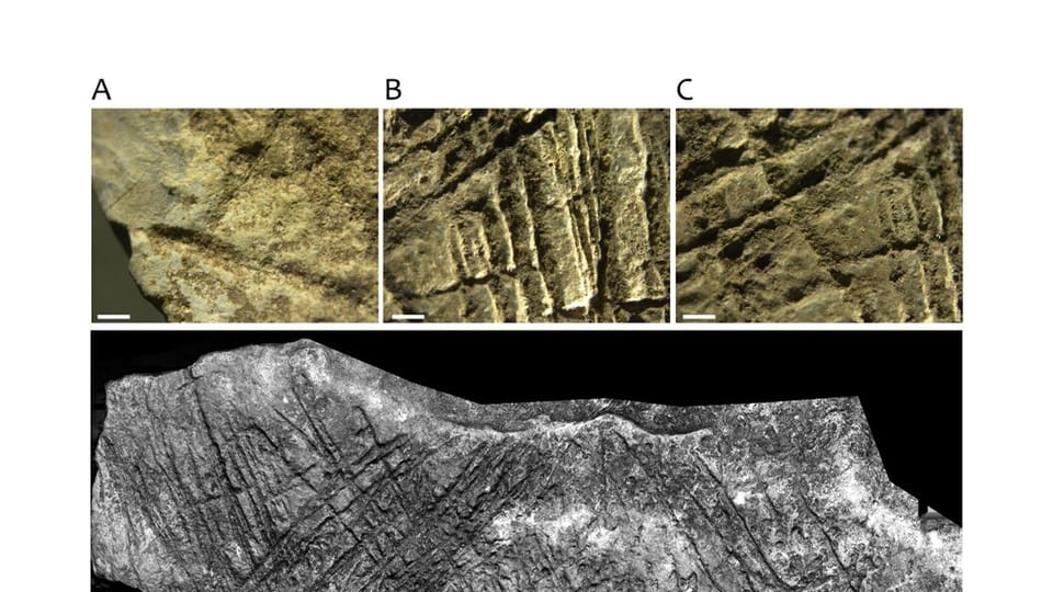 Detail von Gravuren auf einem Kalksteinblock vom „Švédův stůl“ | Foto: Langley,  M.C.,  Škrdla,  P.,  Kmošek,  M. et al. Engraved Limestone Block from Švédův stůl Cave,  Czech Republic,  2026 / ARÚ AV ČR /