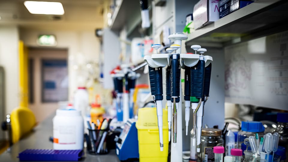 Foto: Tomáš Belloň, Institut für Organische Chemie und Biochemie der Tschechischen Akademie der Wissenschaften Foto: Tomáš Belloň, Institut für Organische Chemie und Biochemie der Tschechischen Akademie der Wissenschaften