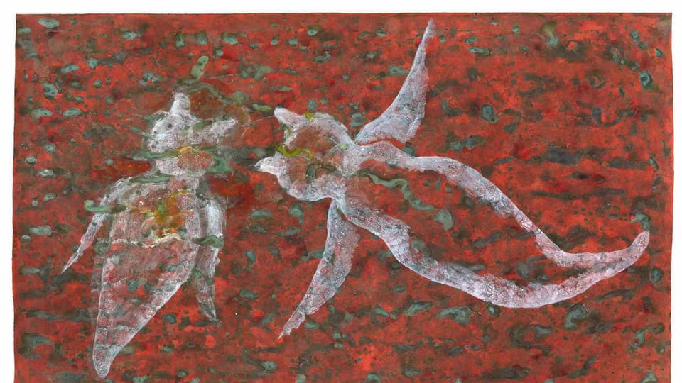 Foto: KANT, Galerie Václava Špály Foto: KANT, Galerie Václava Špály