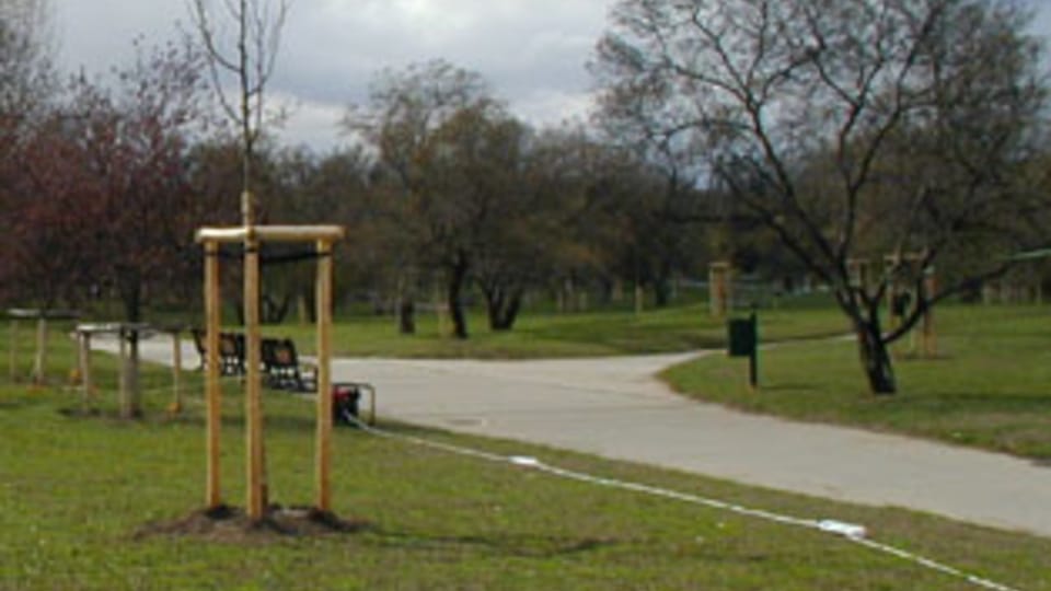 Der Letná-Park über dem Moldau-Ufer (Foto: Jana Sustova) Der Letná-Park über dem Moldau-Ufer (Foto: Jana Sustova)