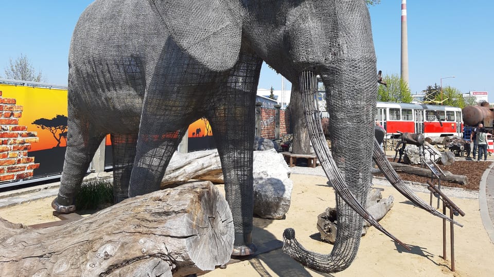 Elephant (Foto: Jitka Mládková) Elephant (Foto: Jitka Mládková)