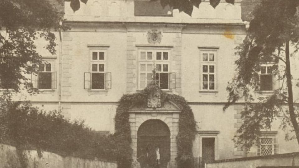 Institutum Beatae Mariae Virginis Institutum Beatae Mariae Virginis