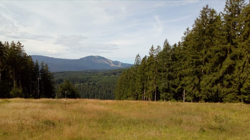Blick auf den Großen Arber  (Foto: Till Janzer)