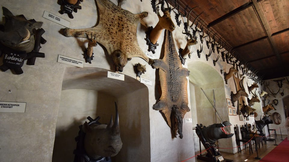 Schloss Telč (Foto: Ondřej Tomšů) Schloss Telč (Foto: Ondřej Tomšů)