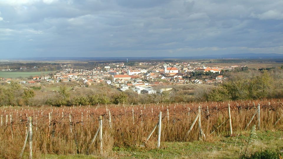 Foto: Autorin
