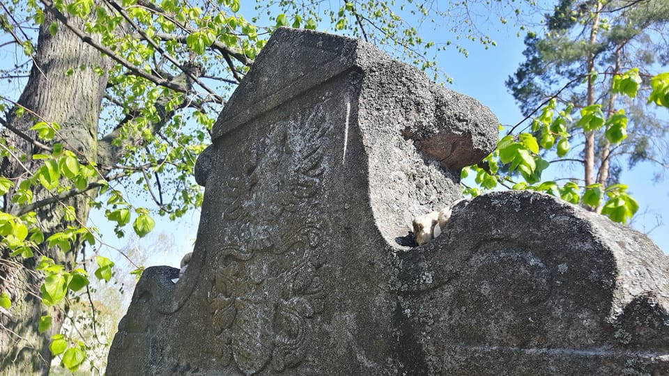 Wappen auf dem Grabstein von Bassevi (Foto: Maria Hammerich-Maier) Wappen auf dem Grabstein von Bassevi (Foto: Maria Hammerich-Maier)