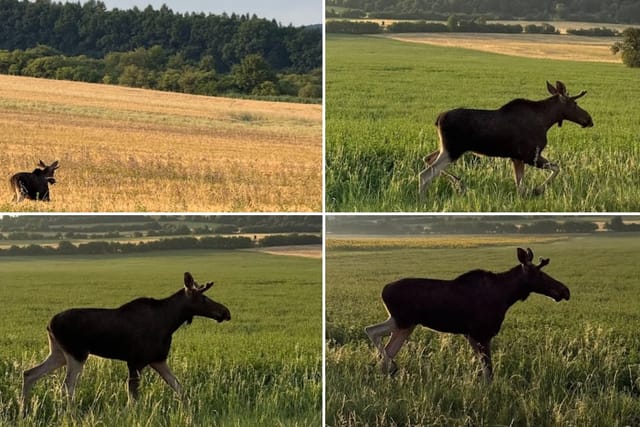 Foto repro: iROZHLAS.cz