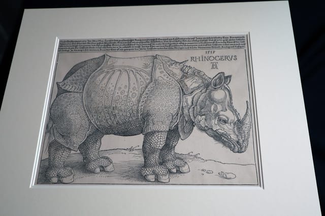 „Nosorožec“  (Rhinozeros),  Albrecht Dürer | Foto: Jana Plavec,  Archiv der tschechischen Akademie der Wissenschaften