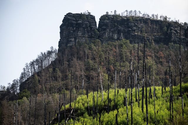Foto: René Volfík,  iROZHLAS.cz