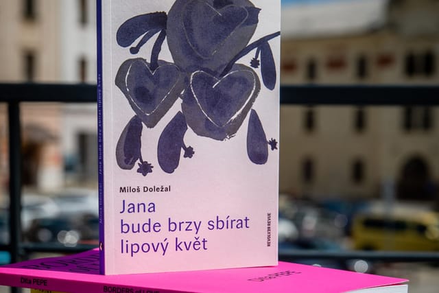 Jana wird bald Lindenblüten pflücken | Foto: Radek Lavička,  MFDF Jihlava
