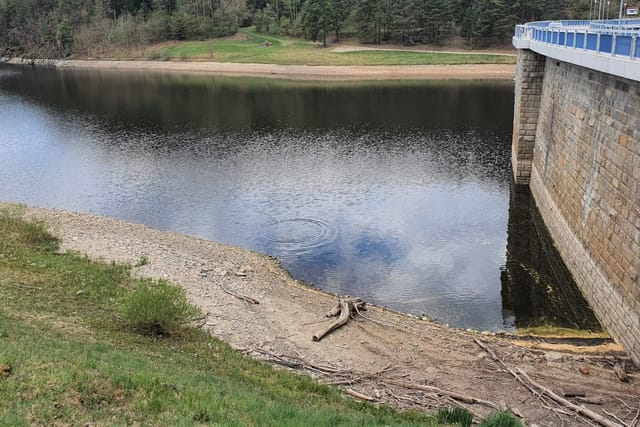 Der Stausee Husinec in der Region Prachatice | Foto: Anna Vrhelová,  Tschechischer Rundfunk