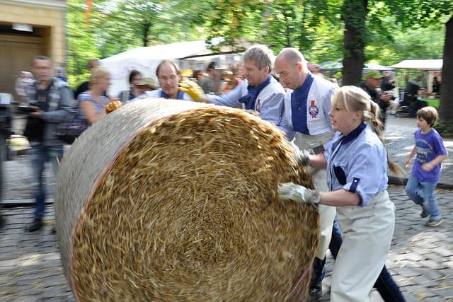 Foto: A. Gründler