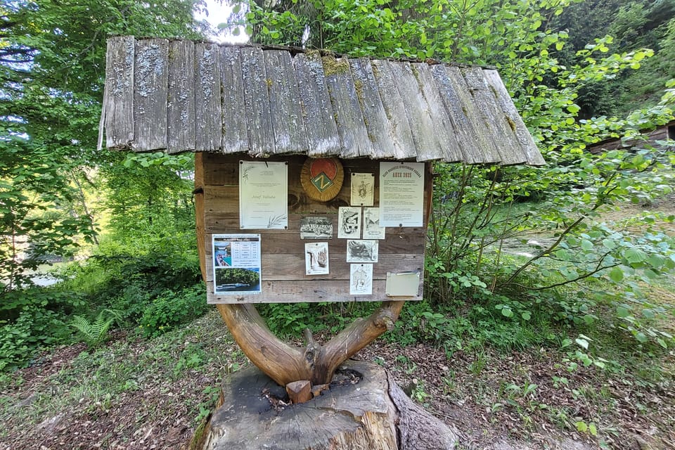 Tramp-Siedlung Verlorene Hoffnung  (Osada Ztracená naděje) | Foto: Hana Slavická,  Radio Prague International
