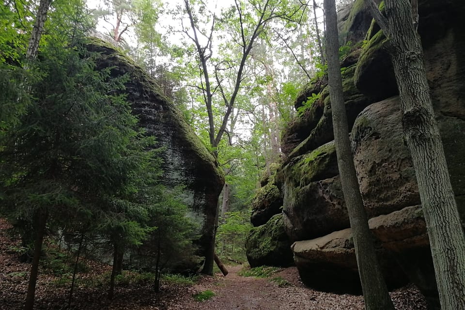 Nationales Naturdenkmal Peklo / Höllengrund  (Foto: Štěpánka Budková)