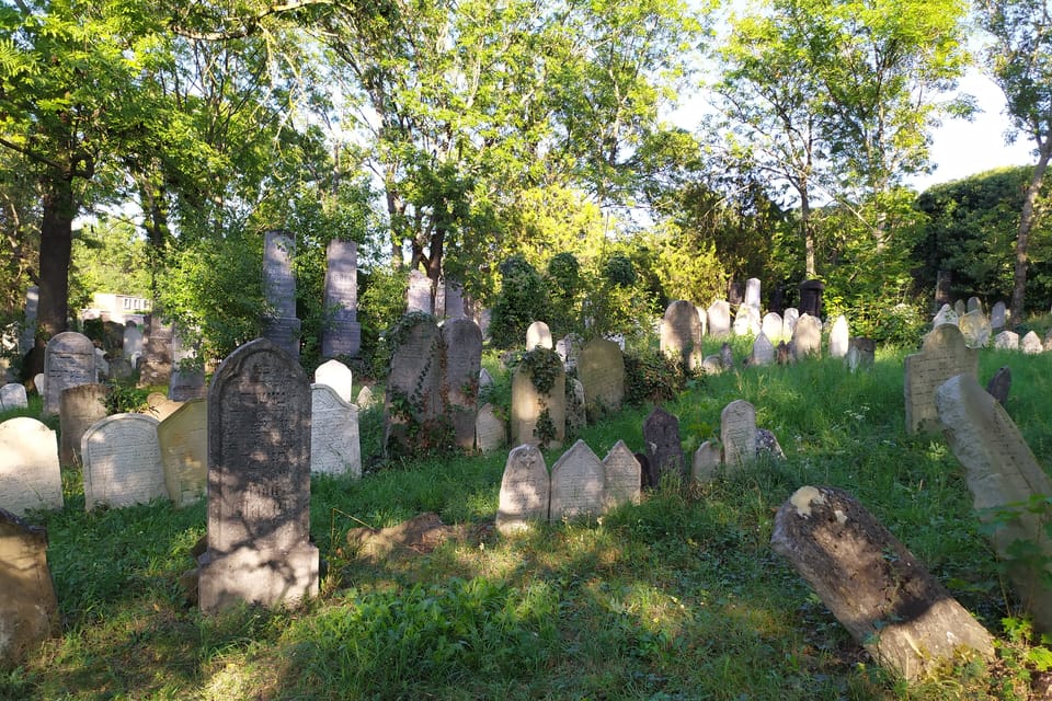 Der jüdische Friedhof | Foto: Magdalena Hrozínková,  Radio Prague International