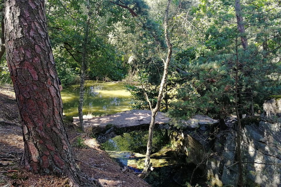 Steinbogenbrücke am Dammteich  (Hrázský rybník). Foto: Štěpánka Budková