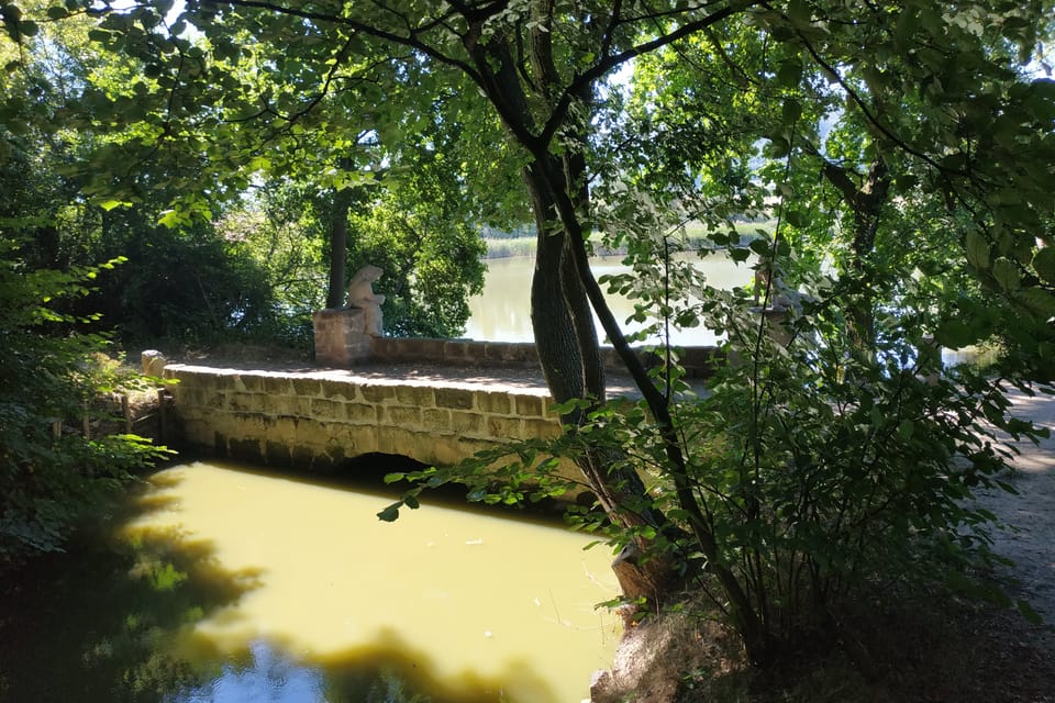 Brückchen am Teich Dolanský (Foto: Bohumil Šimčík) Brückchen am Teich Dolanský (Foto: Bohumil Šimčík)