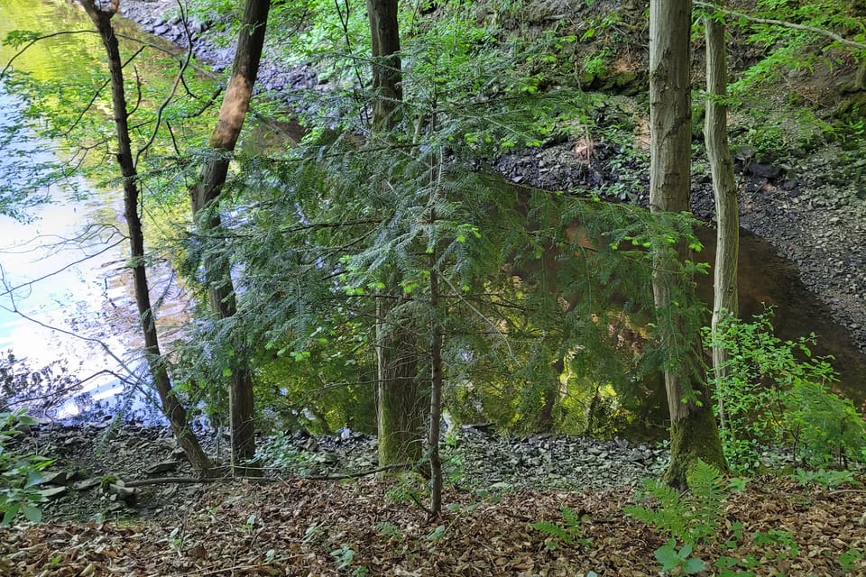 Der Naturlehrpfad Svatojánské proudy | Foto: Hana Slavická,  Radio Prague International