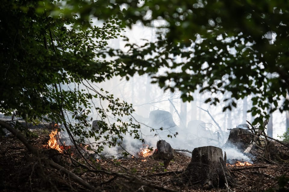 Foto: René Volfík,  Tschechischer Rundfunk