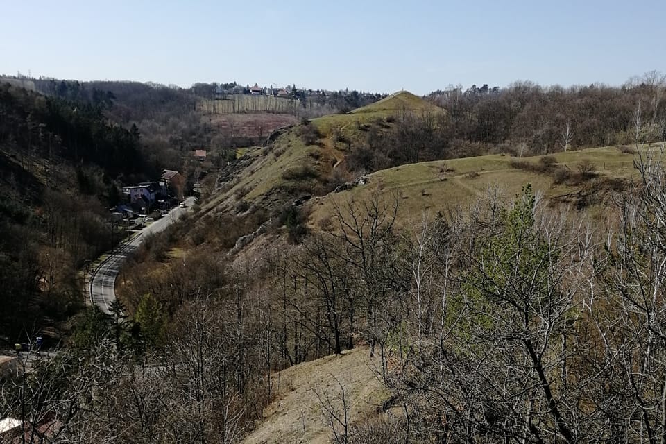 Naturschutzgebiet Homolka  | Foto: Štěpánka Budková,  Radio Prague International