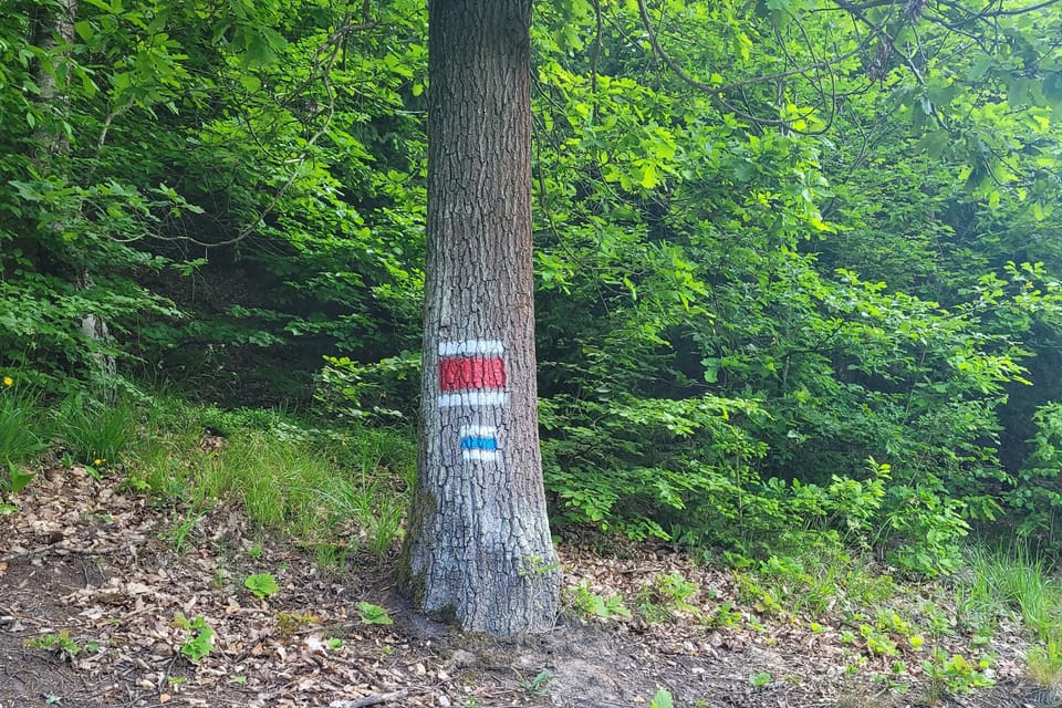 Replik der ursprünglichen touristischen Kennzeichnung des Tschechischen Touristenklubs | Foto: Hana Slavická, Radio Prague International Replik der ursprünglichen touristischen Kennzeichnung des Tschechischen Touristenklubs | Foto: Hana Slavická, Radio Prague International