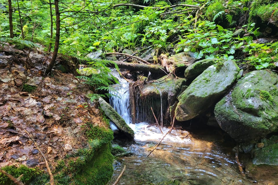 Wasserfall Lukášovy vodopády | Foto: Hana Slavická,  Radio Prague International