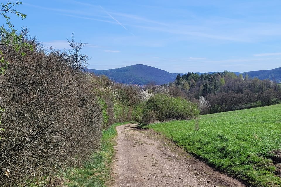 Der Weg zum Oppidum von Stradonice aus | Foto: Hana Slavická,  Radio Prague International