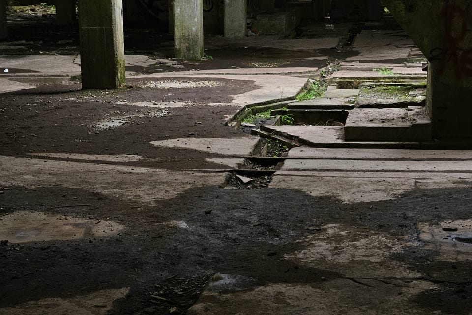 Foto: Štěpánka Budková,  Radio Prague International